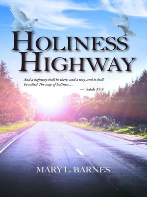 cover image of Holiness Highway